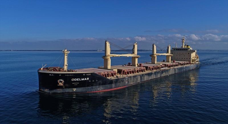 ODELMAR (Bulk Carrier) -  IMO:9773313 | Ship