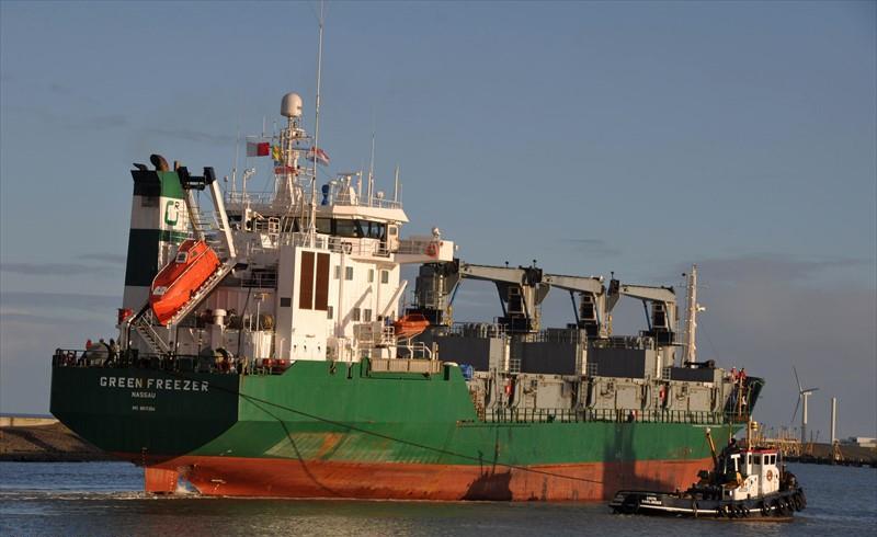 GREEN FREEZER (Reefer) -  IMO:8819304 | Ship