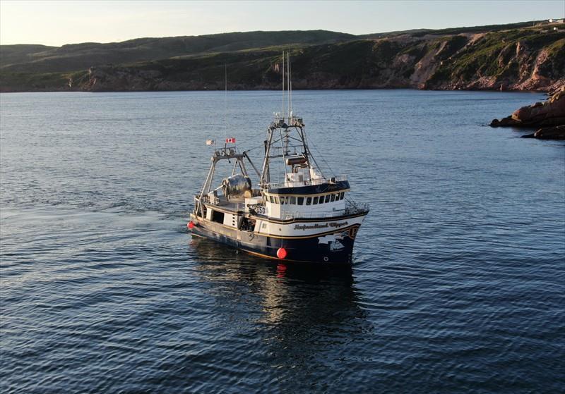 NEWFOUNDLAND CLIPPER Vesseljoin