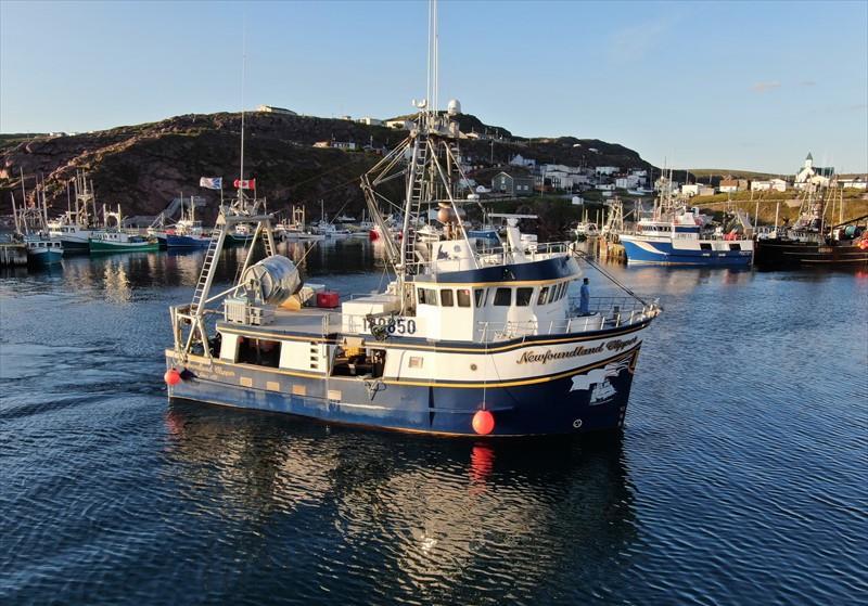 NEWFOUNDLAND CLIPPER Vesseljoin