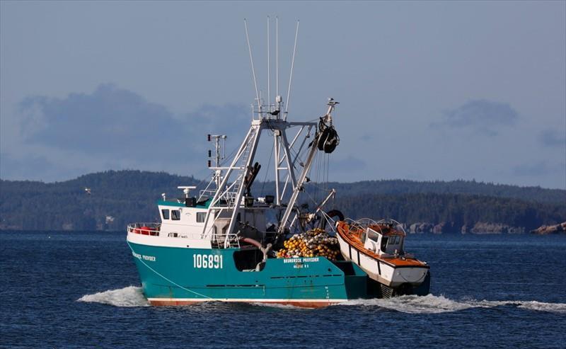 BRUNSWICK PROVIDER - Vesseljoin