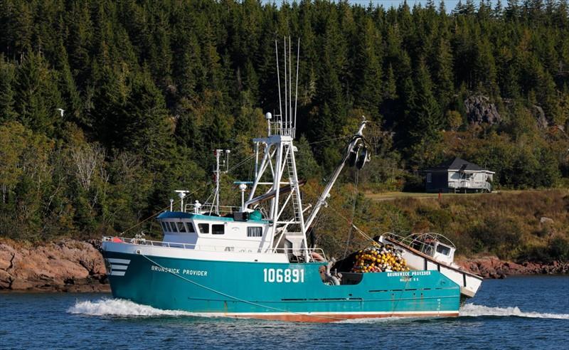 BRUNSWICK PROVIDER - Vesseljoin