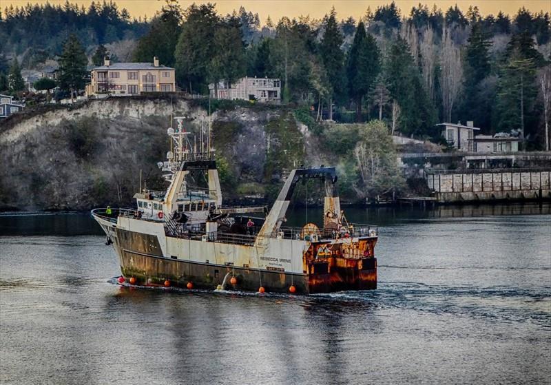 REBECCA IRENE (Factory Trawler) -  IMO:8519679 | Ship