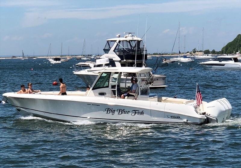 BIG BLUE FISH - Vesseljoin