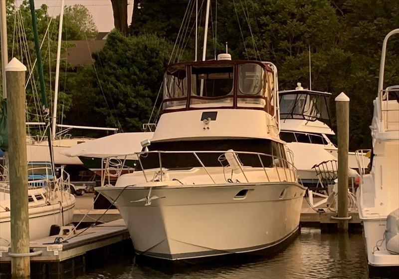 ANCHOR MANAGEMENT Vesseljoin