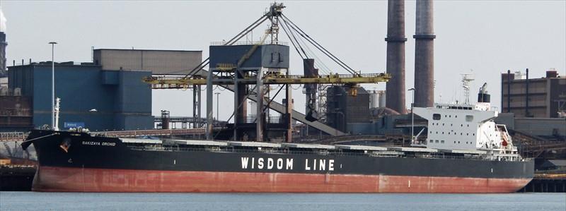 SAKIZAYA ORCHID Vesseljoin