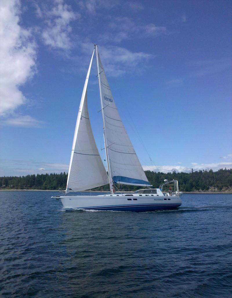 WILD HORSES Vesseljoin