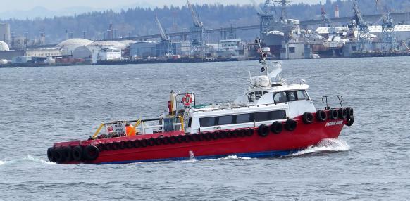 PACIFIC ARROW (Pilot Vessel) -  MMSI:369083000 | Ship