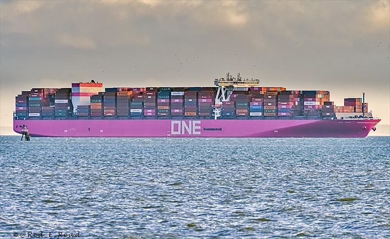 ONE HAWK (Container Ship) -  IMO:9741413 | Ship