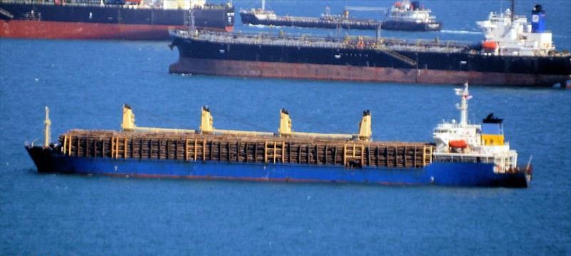 JIN DA LING (Bulk Carrier) - IMO: 9170664 | Vessel Details