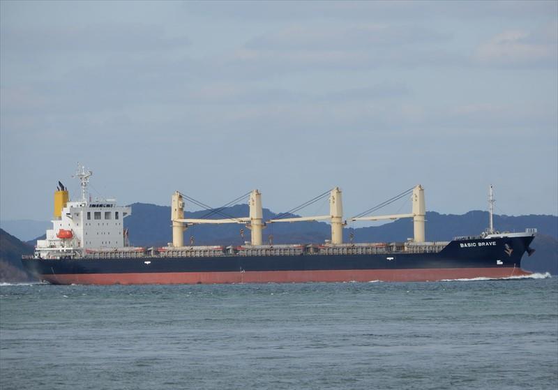 BASIC BRAVE Bulk Carrier IMO 9473690 Vessel Details