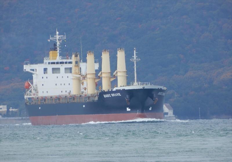 BASIC BRAVE Bulk Carrier IMO 9473690 Vessel Details