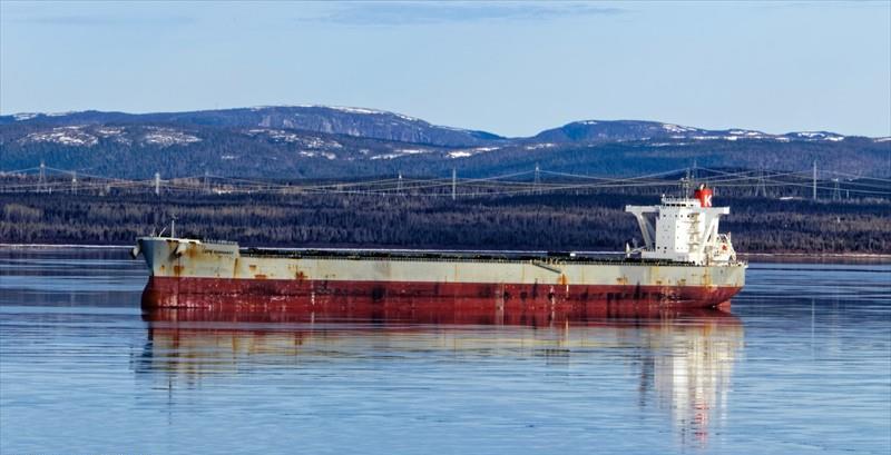 CAPE NORMANDY (Bulk Carrier) -  IMO:9558232 | Ship