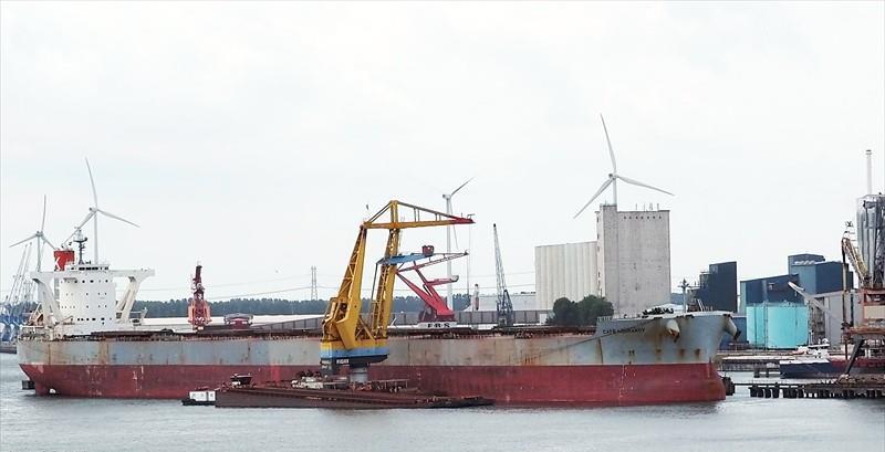 CAPE NORMANDY (Bulk Carrier) -  IMO:9558232 | Ship