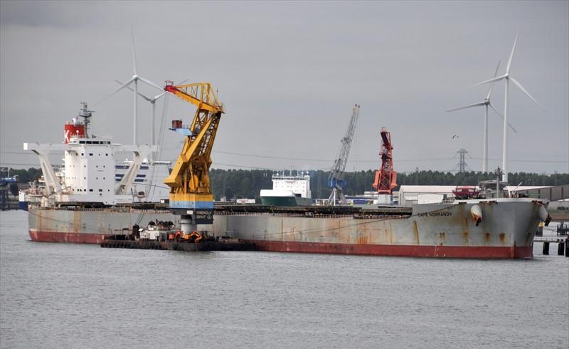 CAPE NORMANDY (Bulk Carrier) -  IMO:9558232 | Ship