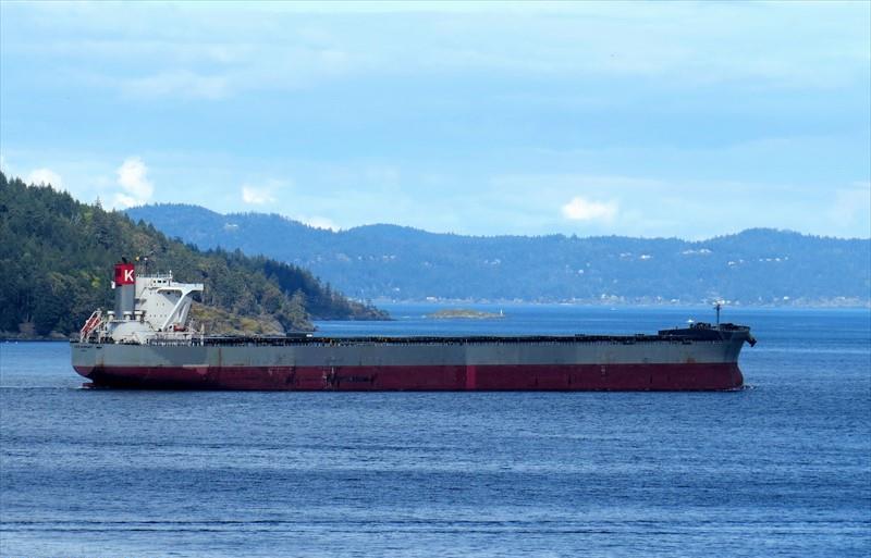 CAPE NORMANDY (Bulk Carrier) -  IMO:9558232 | Ship