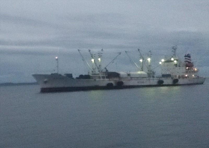 LADY TUNA Vesseljoin