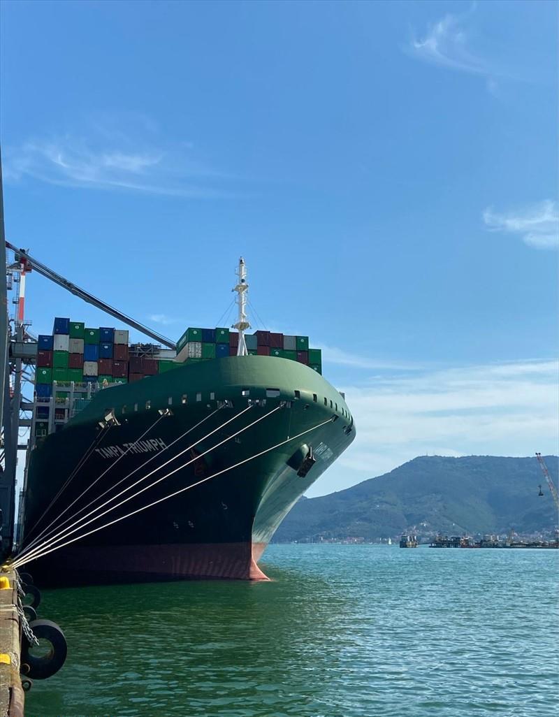 TAMPA TRIUMPH (Container Ship) -  IMO:9737462 | Ship