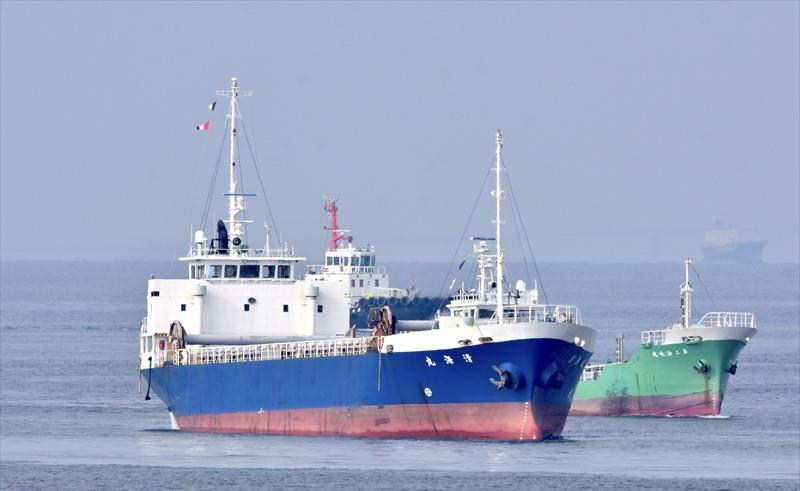 SEIKAI MARU (Cargo) -  MMSI:431000949 | Ship