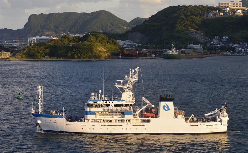 SHINYO MARU (Training Ship) -  IMO:9767675 | Ship