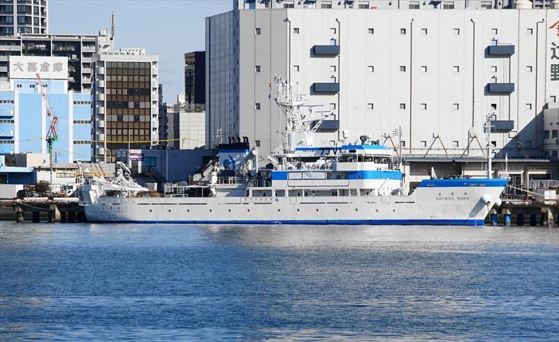 SHINYO MARU (Training Ship) -  IMO:9767675 | Ship