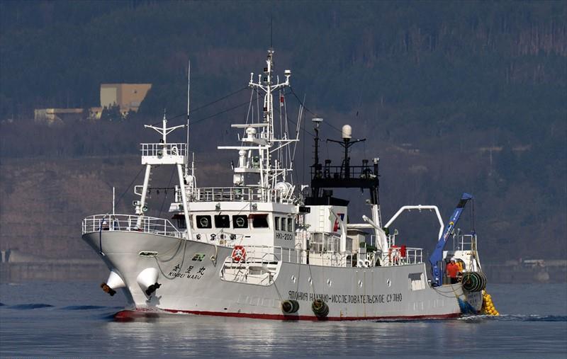 kinsei 7 release date