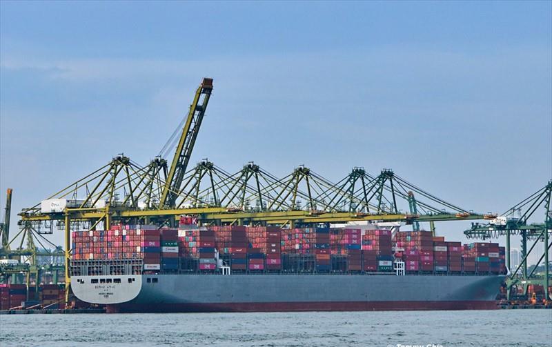 MADRID BRIDGE (Container Ship) -  IMO:9805453 | Ship