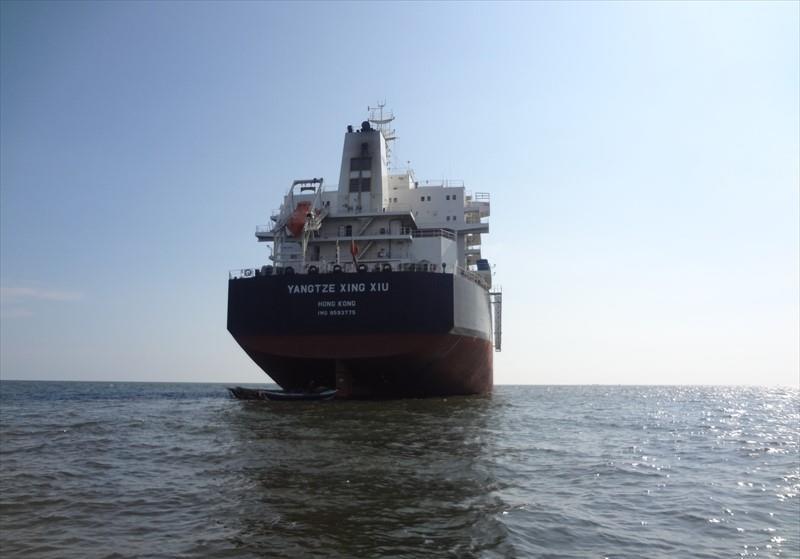 YANGTZE XING XIU (Bulk Carrier) - IMO:9593775 | Ship