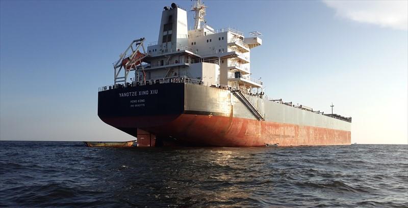 YANGTZE XING XIU (Bulk Carrier) - IMO:9593775 | Ship