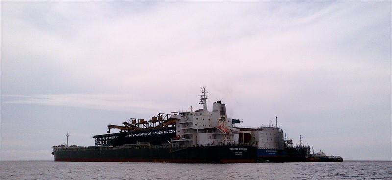 YANGTZE XING XIU (Bulk Carrier) - IMO:9593775 | Ship