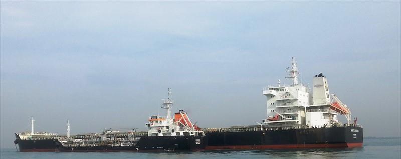 YANGTZE XING XIU (Bulk Carrier) - IMO:9593775 | Ship