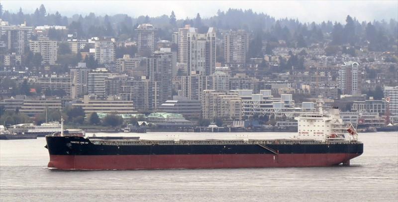 YANGTZE XING XIU (Bulk Carrier) - IMO:9593775 | Ship