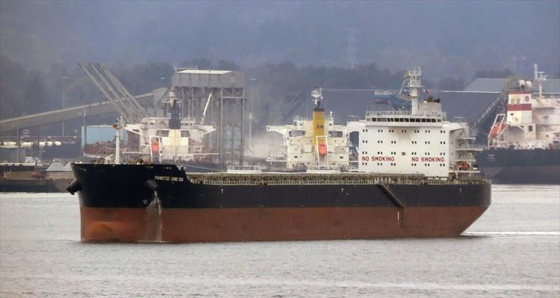 YANGTZE XING XIU (Bulk Carrier) - IMO:9593775 | Ship