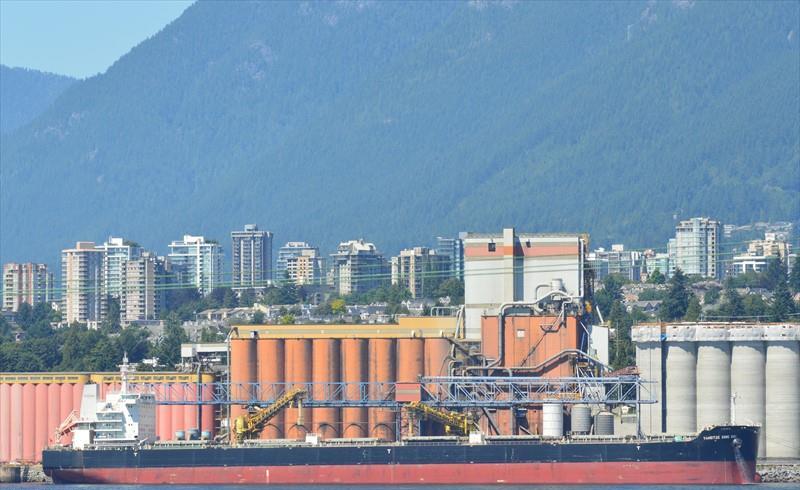 YANGTZE XING XIU (Bulk Carrier) - IMO:9593775 | Ship