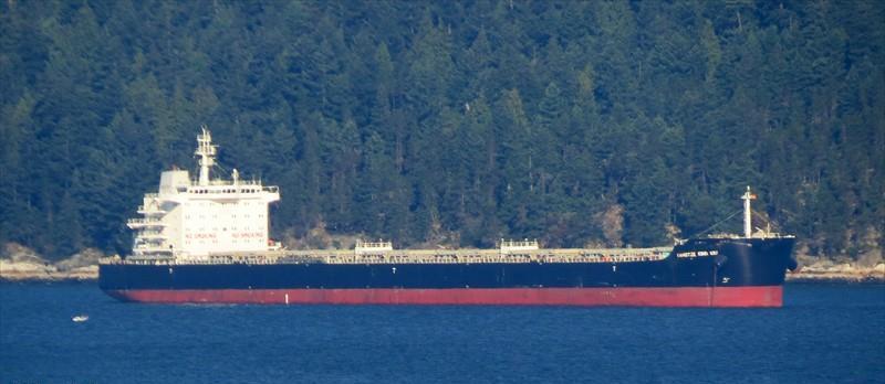 YANGTZE XING XIU (Bulk Carrier) - IMO:9593775 | Ship