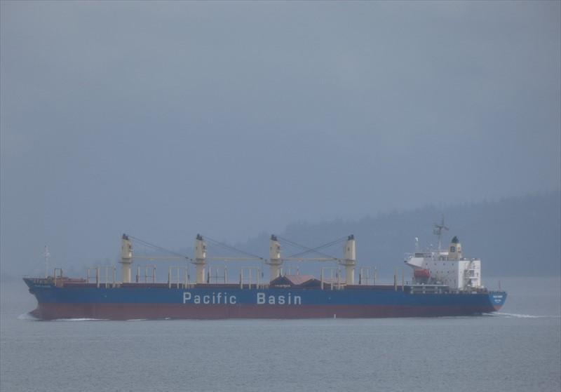 MOUNT RAINIER (Bulk Carrier) IMO 9336799 Vessel Details