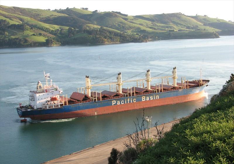 MOUNT RAINIER (Bulk Carrier) IMO 9336799 Vessel Details