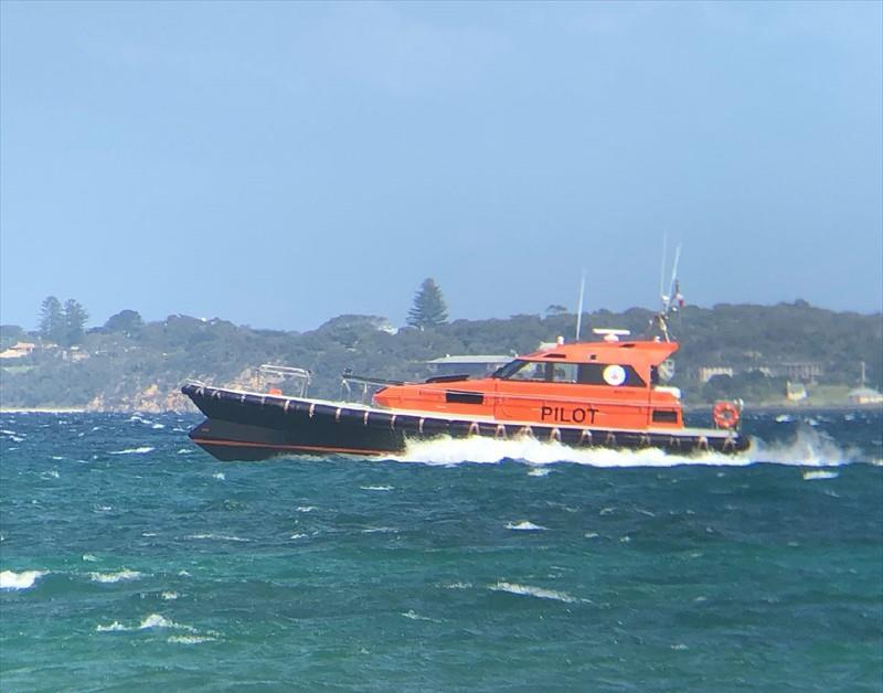 PILOT VESSEL CORSAIR Vesseljoin