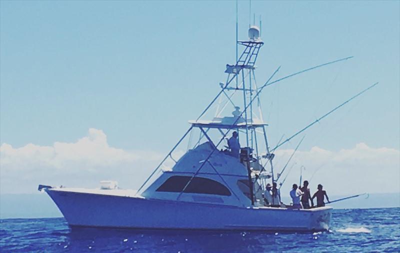 FRENCH LOOK III Vesseljoin