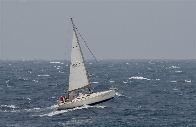 RUM JUNGLE Vesseljoin