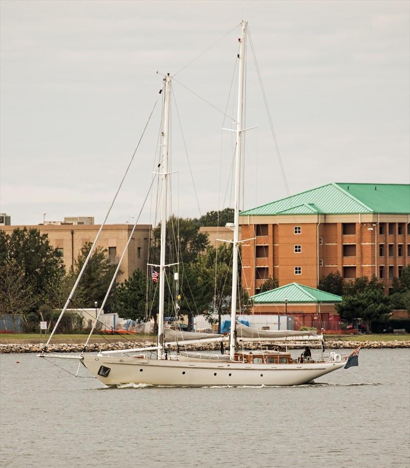 WOLFHOUND Vesseljoin