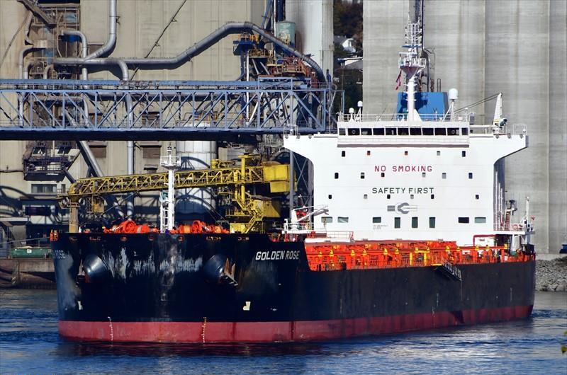 GOLDEN ROSE (Bulk Carrier) IMO 9590747 Vessel Details