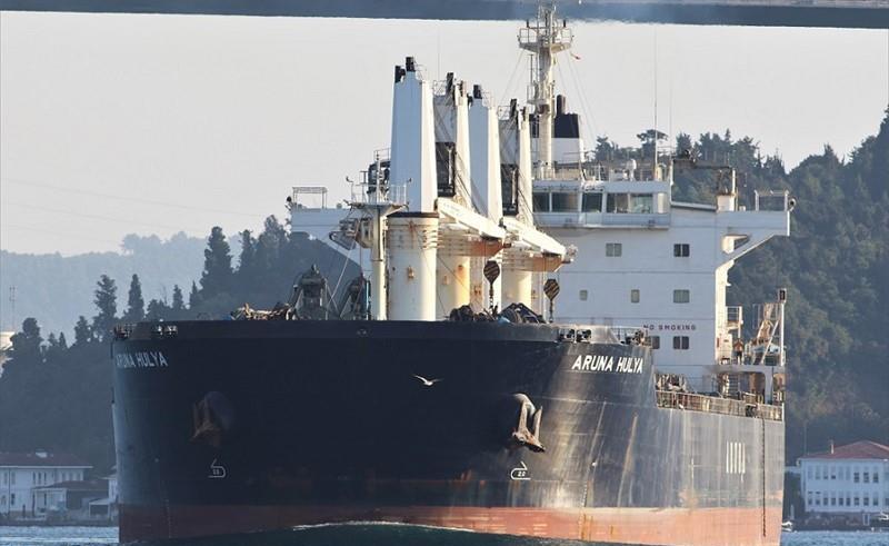 ARUNA HULYA (Bulk Carrier) -  IMO:9635391 | Ship