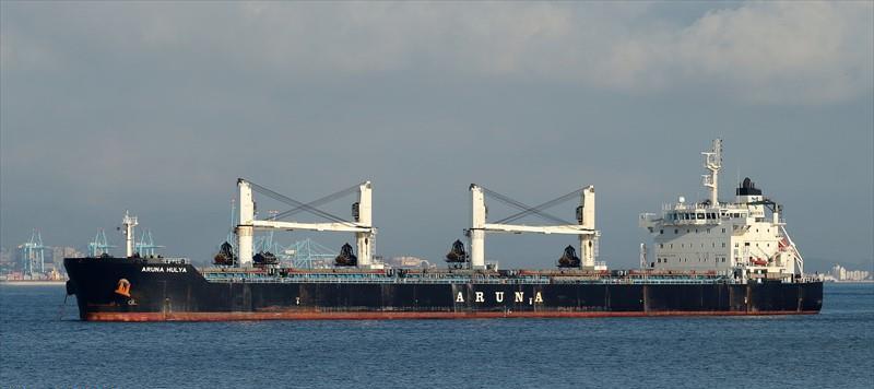 ARUNA HULYA (Bulk Carrier) -  IMO:9635391 | Ship