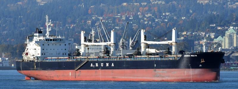 ARUNA HULYA (Bulk Carrier) -  IMO:9635391 | Ship