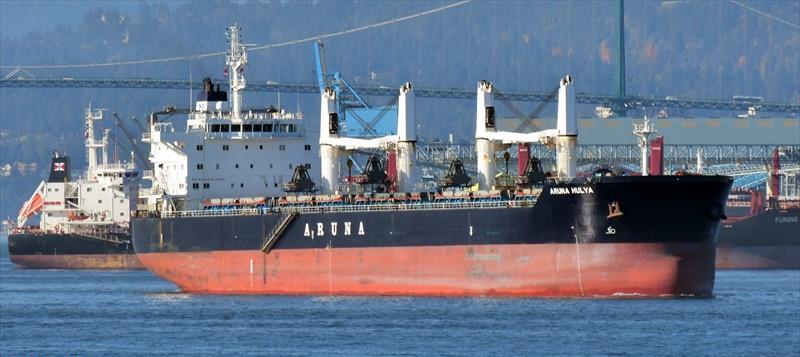 ARUNA HULYA (Bulk Carrier) -  IMO:9635391 | Ship