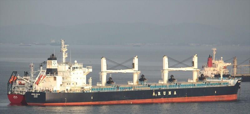 ARUNA HULYA (Bulk Carrier) -  IMO:9635391 | Ship