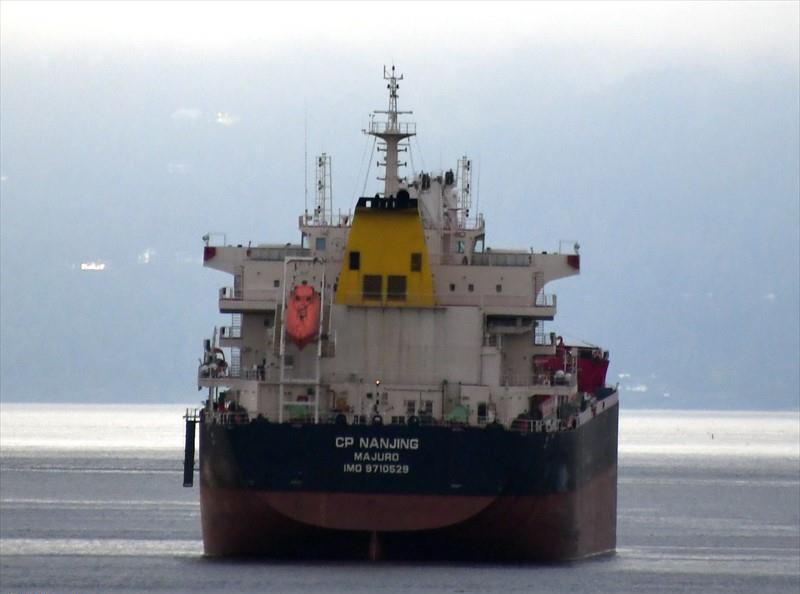 Cp Nanjing Bulk Carrier Imo Vessel Details