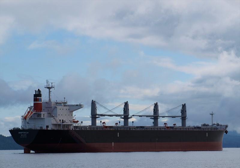 DRAFTZILLA (Bulk Carrier) -  IMO:9875331 | Ship