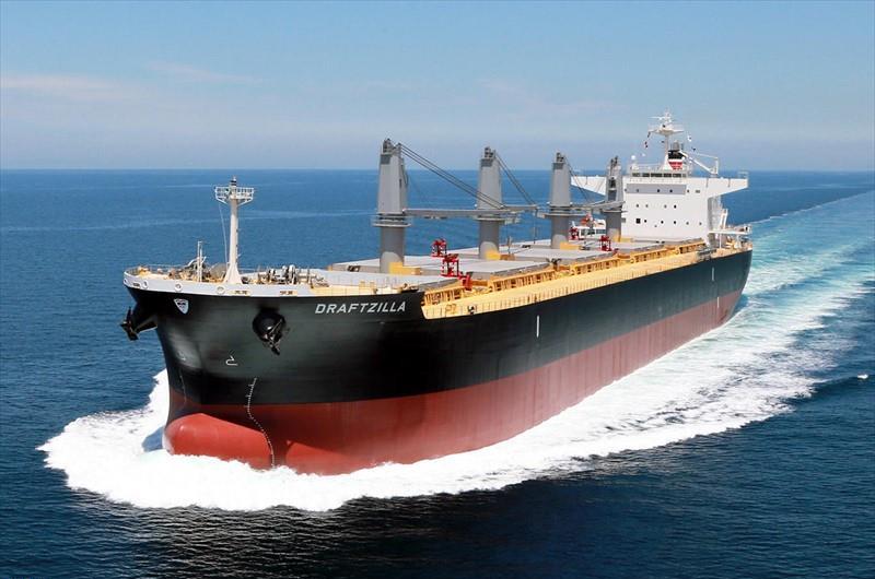 DRAFTZILLA (Bulk Carrier) -  IMO:9875331 | Ship